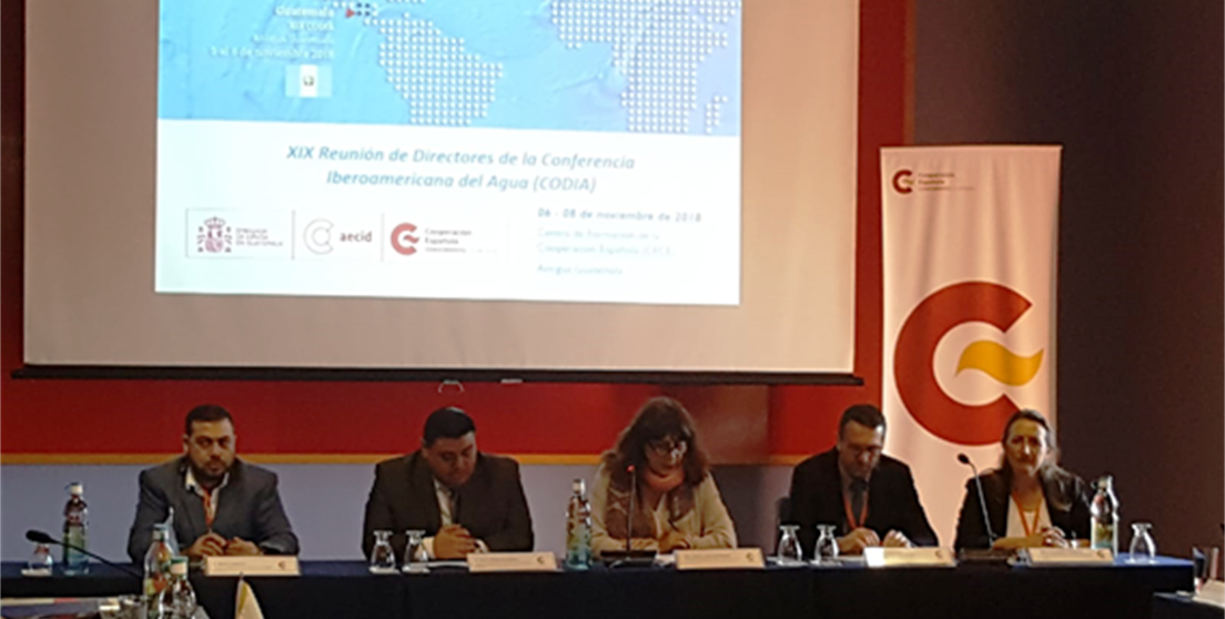 Reunión CODIA 2018
